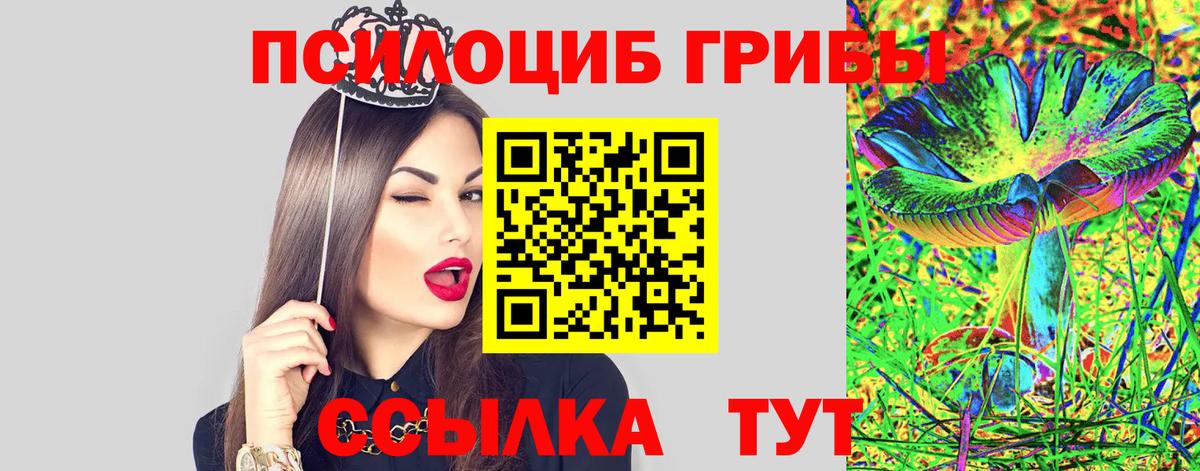 Заринск  Псилоцибиновые грибы GOLDEN TEACHER  Псилоцибиновые грибы MAGIC MUSHROOMS  Вход с VPN 